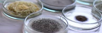 Scienze dei Materiali background