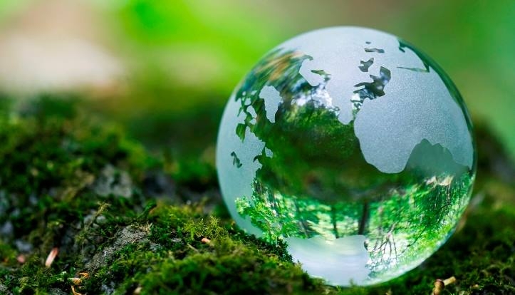 Scienze Ambientali background